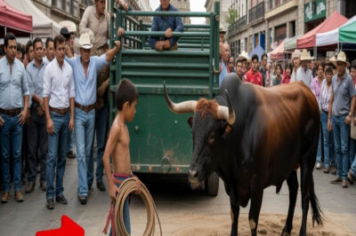 “Un multimillonario dio un toro de rodeo a un niño pobre solo para burlarse… pero algo cambió todo.”