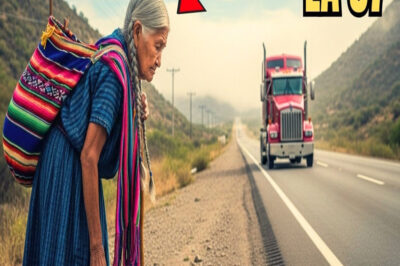 TRAILERO DESCUBRIÓ QUE SU MADRE ESTABA VIVA EN LA CARRETERA 57… DESPUÉS DE 30 AÑOS!