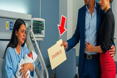 Dio a Luz y su Esposo le Pidió el Divorcio… Pero lo que Ella Hizo Nadie lo Esperaba
