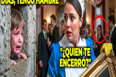 La criada descubre que la nueva esposa del millonario ocultaba algo en la pared