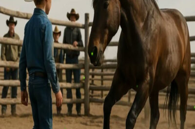 TE DOY MI RANCHO SI TOCAS ESTE CABALLO… SE RIÓ EL HACENDADO… PERO EL HUMILDE MUCHACHO LO CALLÓ