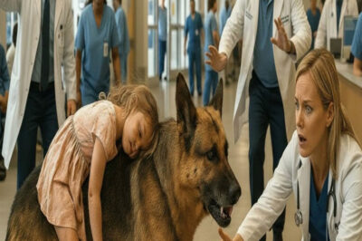 Un pastor alemán K9 lleva a una niña al hospital. Nadie podía creer lo que pasó después.