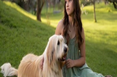 Mi perro de repente hizo esto conmigo en medio de la noche