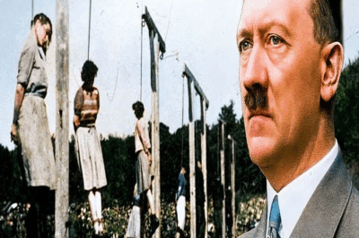 ¿Qué fue de la familia de Hitler tras la Segunda Guerra Mundial?