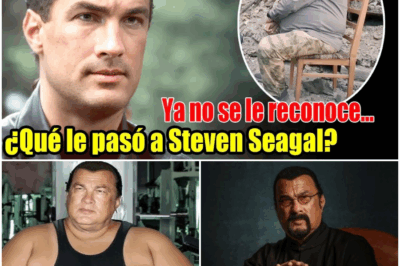 ¿Cómo se derrumbó la carrera de Steven Seagal? Nadie imaginó este final…