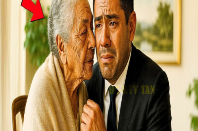 UN MILLONARIO VISITÓ UN ASILO PARA DONAR… Y ENCONTRÓ A SU MADRE PERDIDA HACE 40 AÑOS…