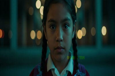 Niña desapareció durante excursión — 4 años después hermano reveló lo que vio en YouTube…