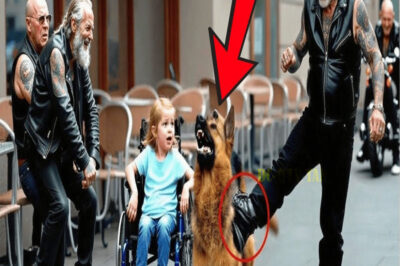 Un motociclista pateó al pastor alemán de una niña como broma: sin saber que era un K9 entrenado…