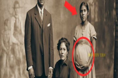 La Foto De 1904 Que Todos Creían Normal — Pero Las Manos De La Criada Cuentan Otra Historia….