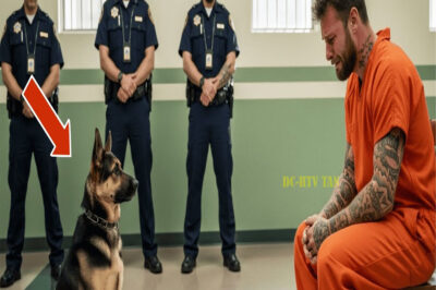 Su último deseo antes de ser ejecutado fue ver a su perro, pero lo que sucedió lo cambió todo…