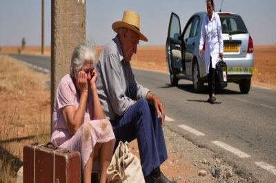 “A ver si sobreviven sin nosotros”, rieron los hijos – pero el anciano escondía herencia millonaria…