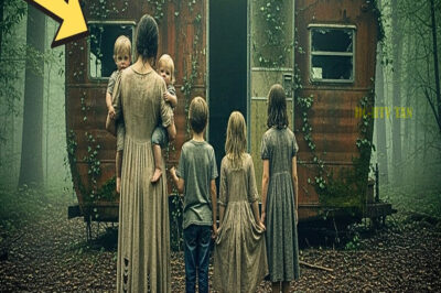 La Viuda Se Mudó Al Remolque Abandonado En El Bosque — Hasta Que Oyó Algo Bajo La Tierra…