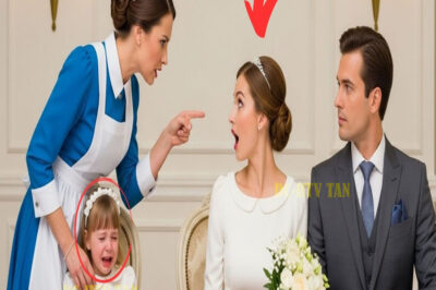 LA NOVIA TENÍA UN SECRETO… Y LA NIÑERA LO REVELÓ EN PLENA BODA MILLONARIA…