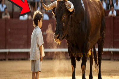 Nadie Podía Tocar A Ese Toro — Hasta Que Llegó Ese Niño… Y Todo Cambió…