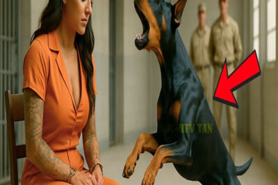 Su último deseo antes de la EJECUCIÓN era ver a su perro, pero lo que sucedió lo cambió todo…