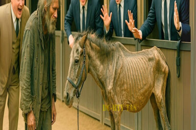 UN MILLONARIO LE DIO UN CABALLO INÚTIL A UN VAGABUNDO COMO BROMA, PERO ARREPINTIÉNDOSE AMARGAMENTE…