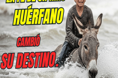 LA FE DE UN NIÑO HUÉRFANO CAMBIÓ SU DESTINO…UNA HISTORIA QUE TE HARÁ LLORAR