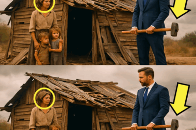 MILLONARIO VA A LA CASA DE SU EX ESPOSA DESPUÉS DE 12 AÑOS… Y SU REACCIÓN ES INESPERADA