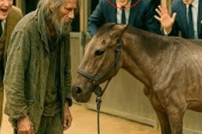 Un millonario regaló un caballo moribundo a un hombre pobre como burla, pero pronto se arrepintió…