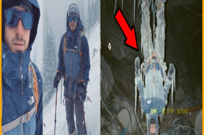 Alpinista desapareció escalando el Denali — 2 años después hallado BOCA ABAJO en CUEVA de HIELO…