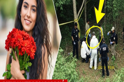 Estudiante desapareció en 2013 en su casa. 3 años después, un hombre encontró algo sorprendente…