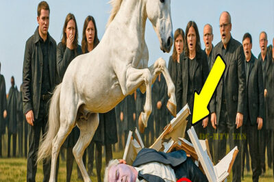 Caballo DETIENE el VELORIO, ROMPE el ATAÚD de su dueño entonces hallan 1 NOTA EXTRAÑA en el CUERPO…