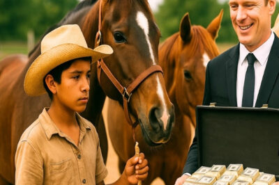 10 MILLONES SI VENCES MI MEJOR CABALLO… DIJO EL RICO AL MUCHACHO HUMILDE PERO SE QUEDÓ SIN PALABRAS…