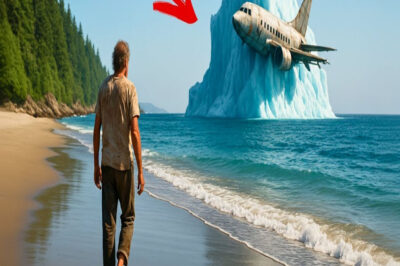 Náufrago 3 Años Sin Rescate Halló Iceberg En Isla Remota—Vio Avión En Hielo Con 160 Pasajeros