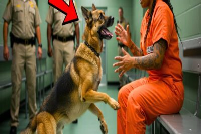 Minutos Antes De Su Ejecución Pidió Algo… Un Ladrido Lo Cambió Todo