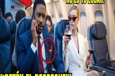 Mujer blanca roba el asiento de un CEO negro—él paraliza la aerolínea 5 minutos después.