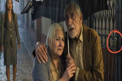 Millonaria encuentra a sus padres ancianos bajo la lluvia… lo que pasó después la dejó en lágrimas…