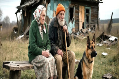 Abandonados Por Sus Hijos: Una Pareja De Ancianos Transformó Una Cabaña En Ruinas En Un Paraíso