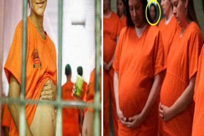 Reclusas de una Prisión de Máxima Seguridad para Mujeres Quedan Embarazadas una por una. Entonces…