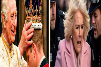 Camilla, Descubierta: ¿Qué Hizo la Reina para Evitar la Coronación de William?