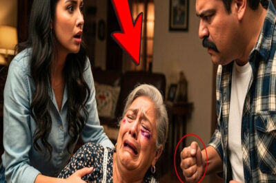 MI ESPOSO GOLPEÓ A MI MAMÁ QUE ESTABA DE VISITA… PERO NO IMAGINABA QUE MI HERMANO LO HARÍA …