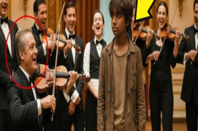 ¿Puedo tocar por comida? Se rieron de lo niño sin hogar, sin saber que era uno prodigio del violín