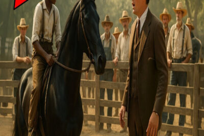 Apostó 1 Millón De Dólares A Que Nadie Domaba Su Caballo – Hasta Que Un Niño Lo Dejó Sin Palabras