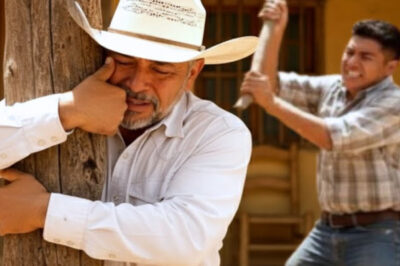 20 Años Enviando Dólares… y Mi Familia Me Golpeó al Volver