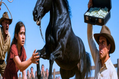 ¡DIEZ MILLONES SI MONTAS MI CABALLO SALVAJE! DIJO EL JEFE A LA NIÑA HUÉRFANA…