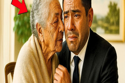 UN MILLONARIO VISITÓ UN ASILO PARA DONAR… Y ENCONTRÓ A SU MADRE PERDIDA HACE 40 AÑOS…