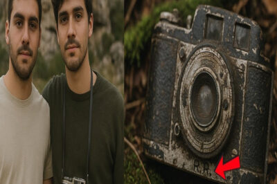 En 1970, gemelos desaparecen en una caminata — décadas después, un guardabosques encuentra esto.