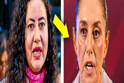 LA PRESIDENTA Pone En Su Lugar a Periodista Grosera Que Quiso Humillarla