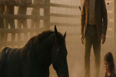 CABALLO INDOMABLE IBA A SER SACRIFICADO, PERO NIÑA ABANDONADA HIZO ALGO INCREÍBLE…