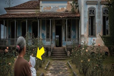 Ella Compró Una Chabola De La Que Todos Huían — Y Lo Que Encontró En El Sótano Lo Cambia Todo