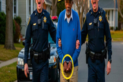 La policía arresta a un veterano negro – y se sorprende al descubrir que es el padre del general