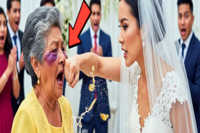 SU NUERA LA GOLPEÓ FRENTE A TODOS EN LA BODA… PERO LA ABUELA SE VENGÓ CON ALGO QUE MARCÓ LA NOCHE