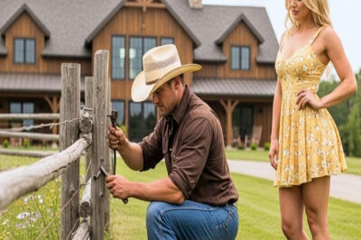 Padre soltero fue a reparar la cerca de la vecina… sin saber que ella era dueña de media ciudad…