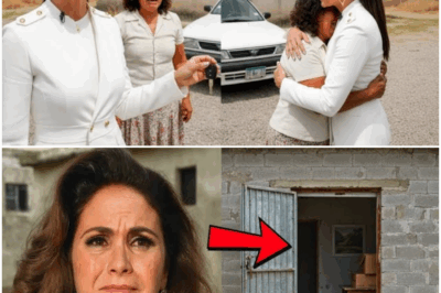 ¡Lucero sorprendió a su empleada regalándole un auto, te conmoverá… y lo recordarás para siempre!