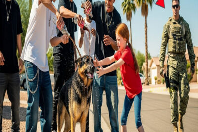 Le Tiraron Coca-Cola a un Perro por Diversión, sin Saber que su Dueño Era un Navy SEAL…