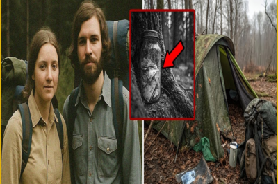 En 1972 Turistas Desaparecieron en Montaña—40 años Después Hallan Diario en Frasco Junto Árbol!